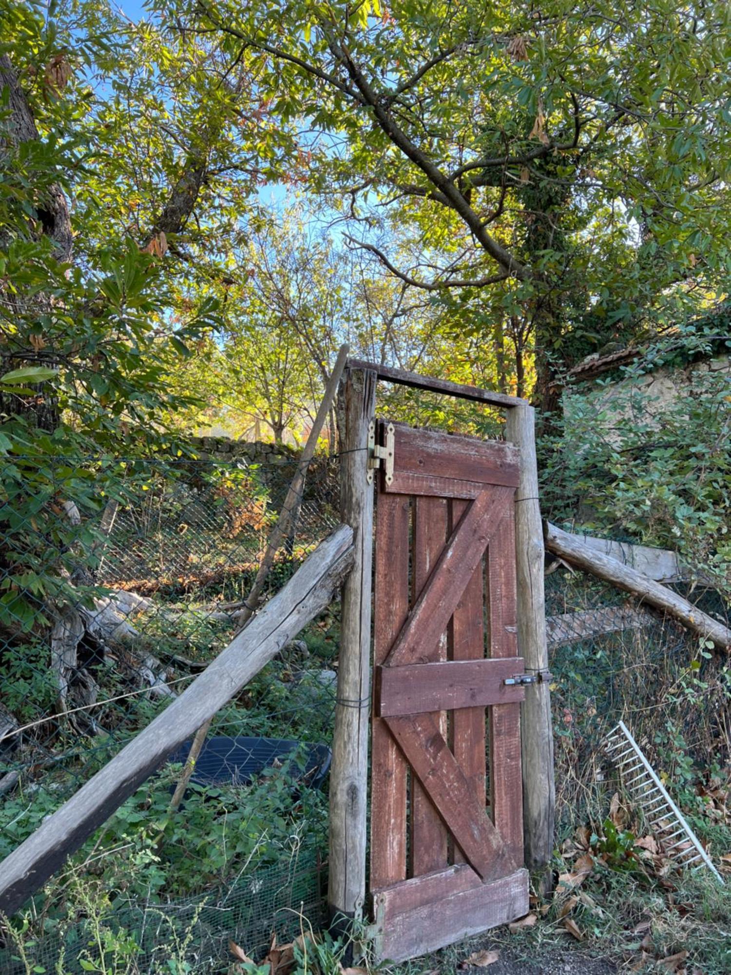 B&B Podere Legnotorto Castel del Piano  Dış mekan fotoğraf