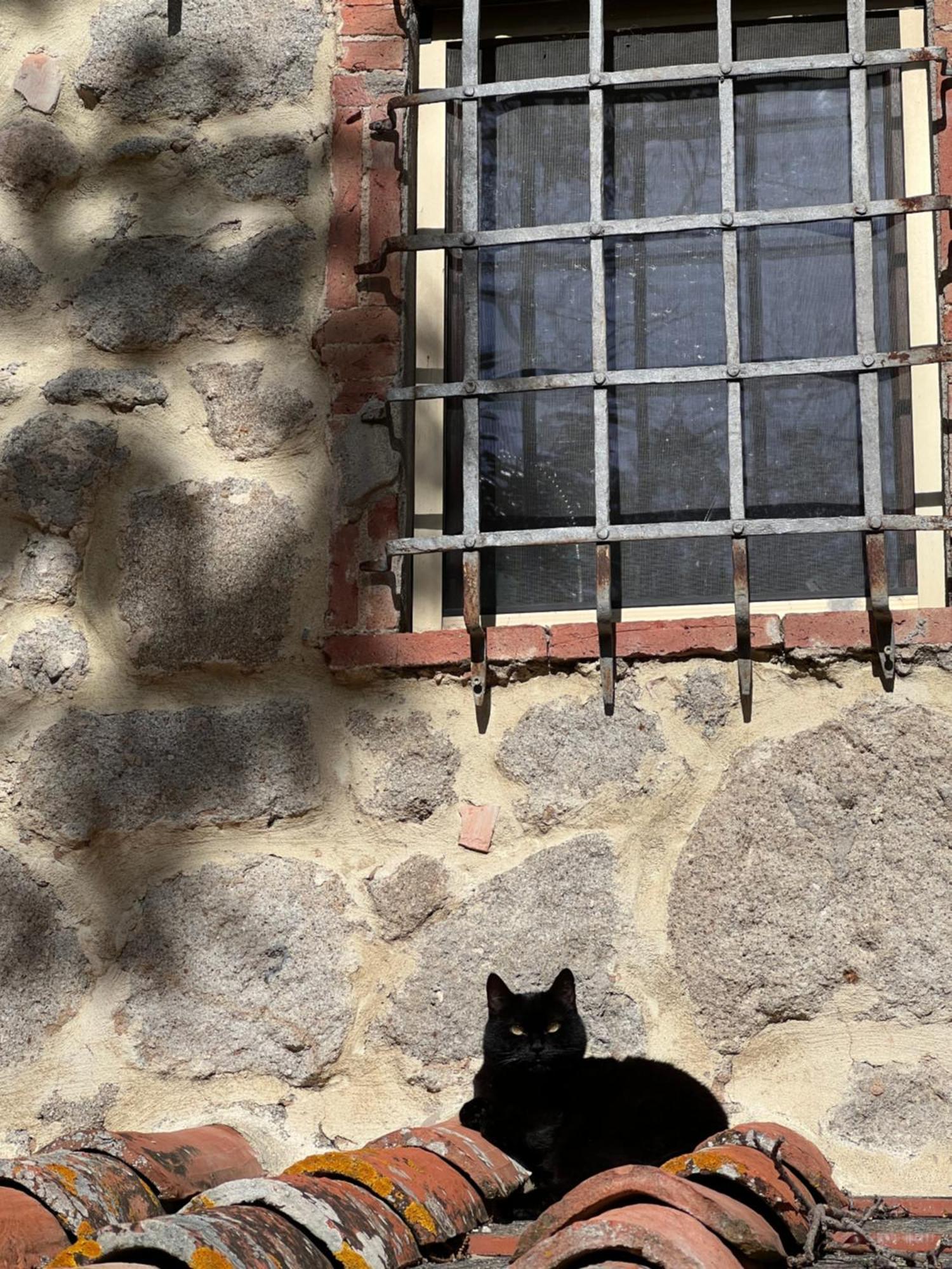B&B Podere Legnotorto Castel del Piano  Dış mekan fotoğraf