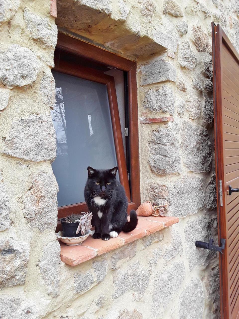 B&B Podere Legnotorto Castel del Piano  Dış mekan fotoğraf